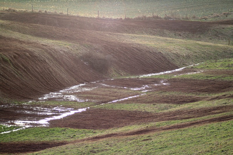 Vánoční trénink v údolíčku 26.12.2009